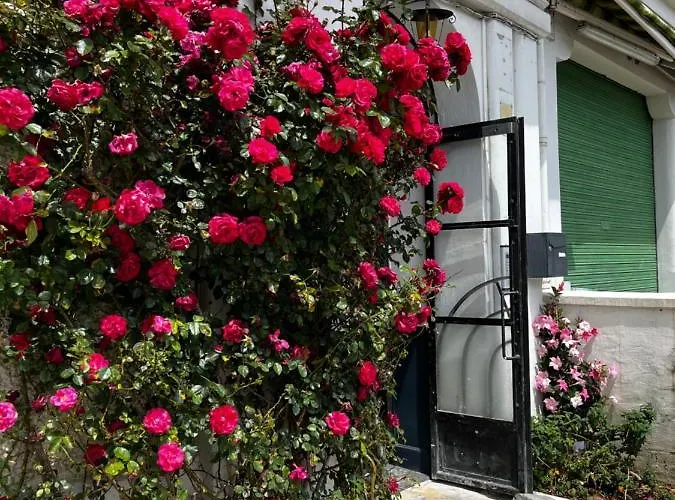 Escapade à Dans T2 Bis Proche Gare Et Centre *